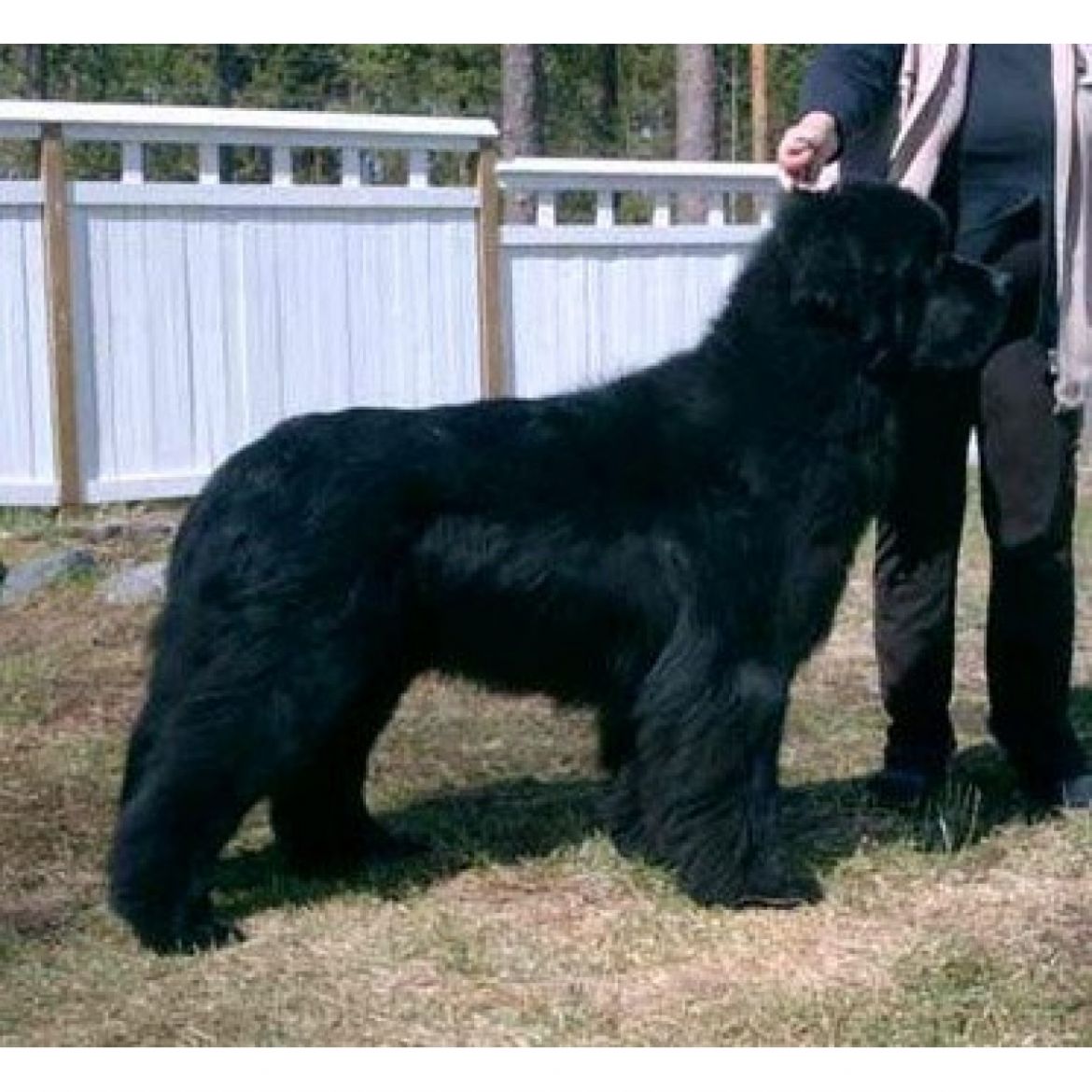 R Absolute Power of Apachees Home (15-04-2002)